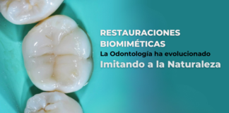 ¿Tus restauraciones realmente replican la naturaleza?